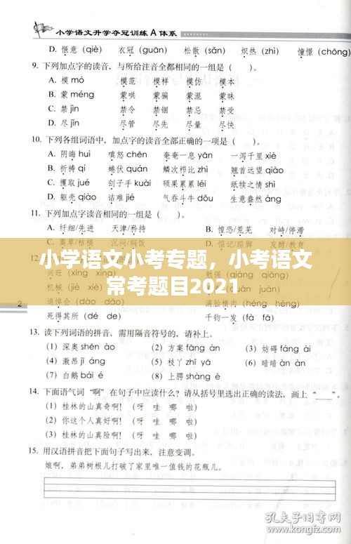 小学语文小考专题,小考语文常考题目2021