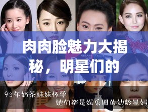 肉肉脸魅力大揭秘,明星们的可爱诠释,百度收录标准标题