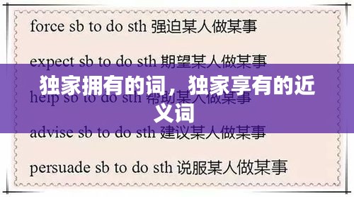 独家拥有的词,独家享有的近义词