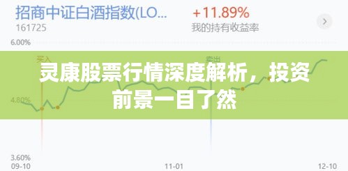灵康股票行情深度解析,投资前景一目了然