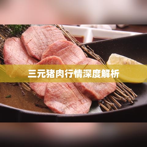 三元猪肉行情深度解析