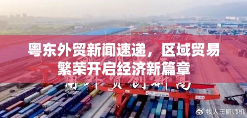 粤东外贸新闻速递,区域贸易繁荣开启经济新篇章