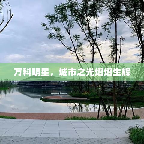 万科明星,城市之光熠熠生辉