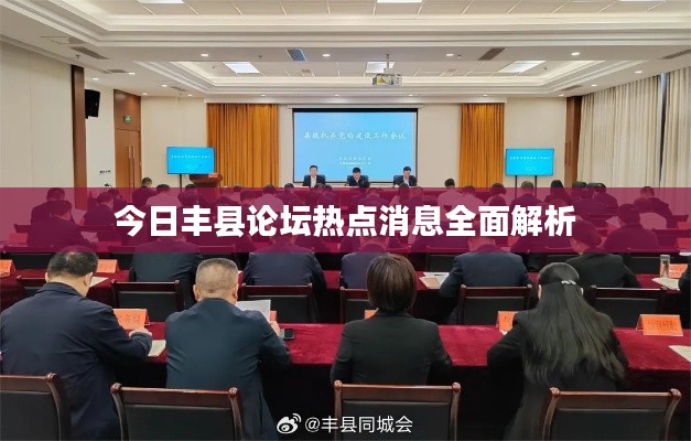 今日丰县论坛热点消息全面解析