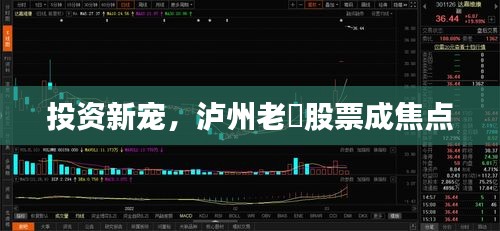 投资新宠,泸州老滘股票成焦点