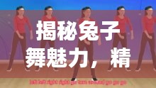 揭秘兔子舞魅力,精选视频教程助你轻松掌握