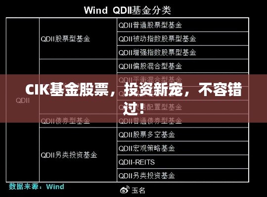 CIK基金股票，投资新宠，不容错过！