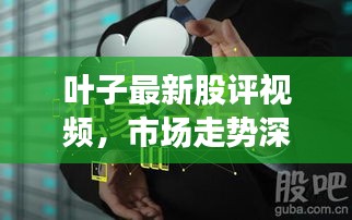 叶子最新股评视频,市场走势深度解析与策略建议