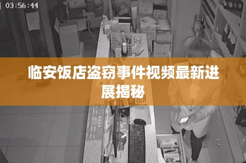 临安饭店盗窃事件视频最新进展揭秘