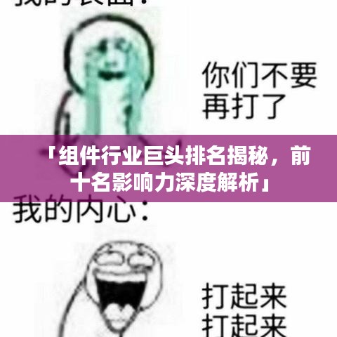 「组件行业巨头排名揭秘,前十名影响力深度解析」