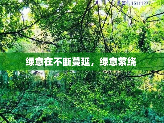绿意在不断蔓延,绿意萦绕