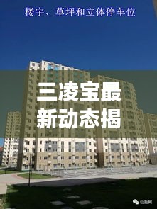 三凌宝最新动态揭秘,今日消息一网打尽!