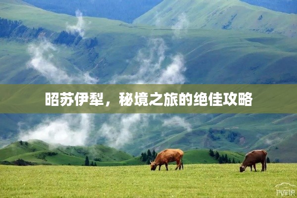 昭苏伊犁，秘境之旅的绝佳攻略