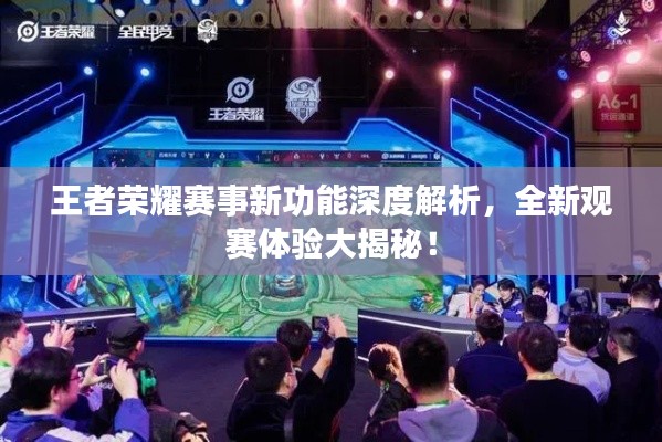 王者荣耀赛事新功能深度解析,全新观赛体验大揭秘!