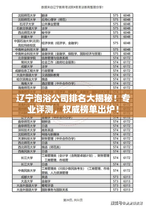 辽宁泡浴公司排名大揭秘!专业评测,权威榜单出炉!