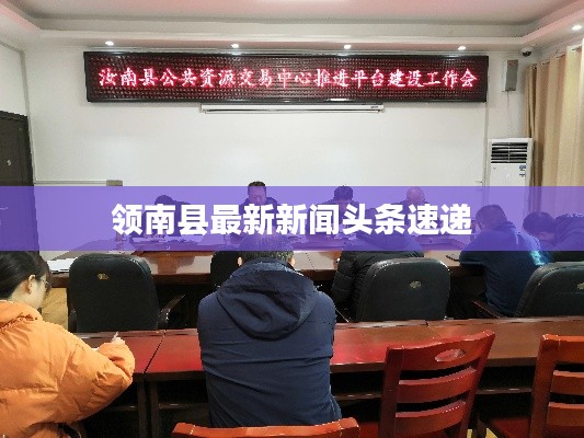 领南县最新新闻头条速递