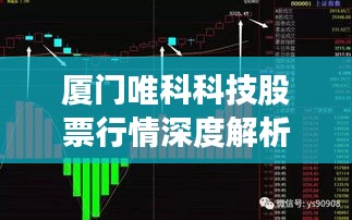 厦门唯科科技股票行情深度解析