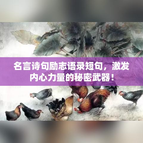 名言诗句励志语录短句,激发内心力量的秘密武器!