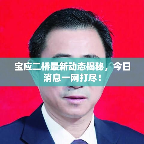 宝应二桥最新动态揭秘，今日消息一网打尽！